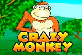 Crazy Monkey