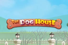 The Dog House